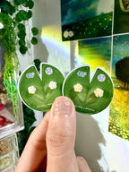 White Rose Dream Stud Earrings ⋅˚₊‧ ୨୧ ‧₊˚ ⋅