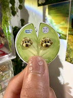 Golden Puppies Stud Earrings ⋅˚₊‧ ୨୧ ‧₊˚ ⋅